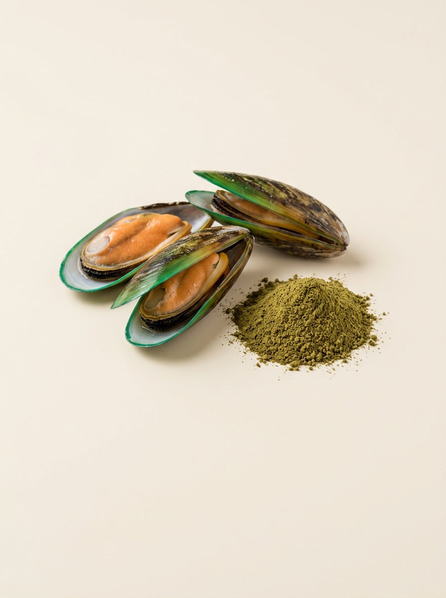 Groenlipmossel