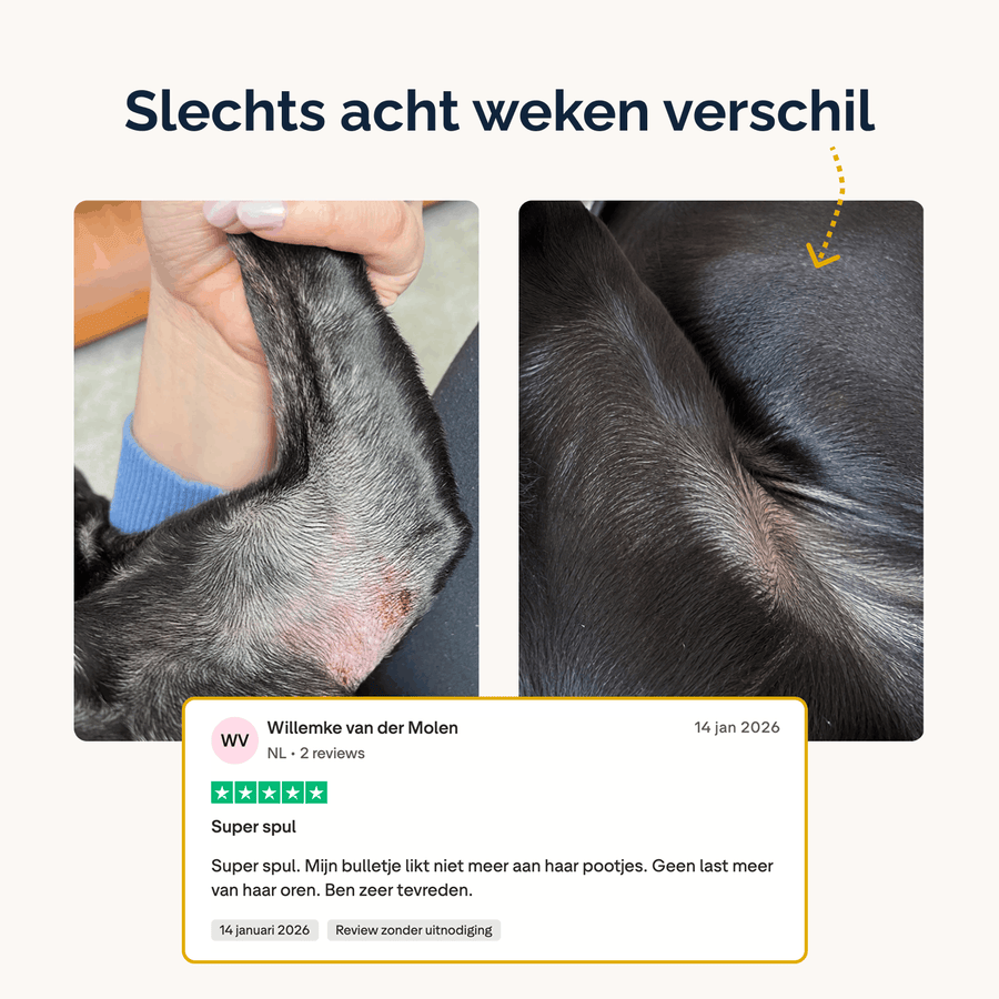 Juckreizlindernde probiotische Kausnacks für Hunde – 180 g