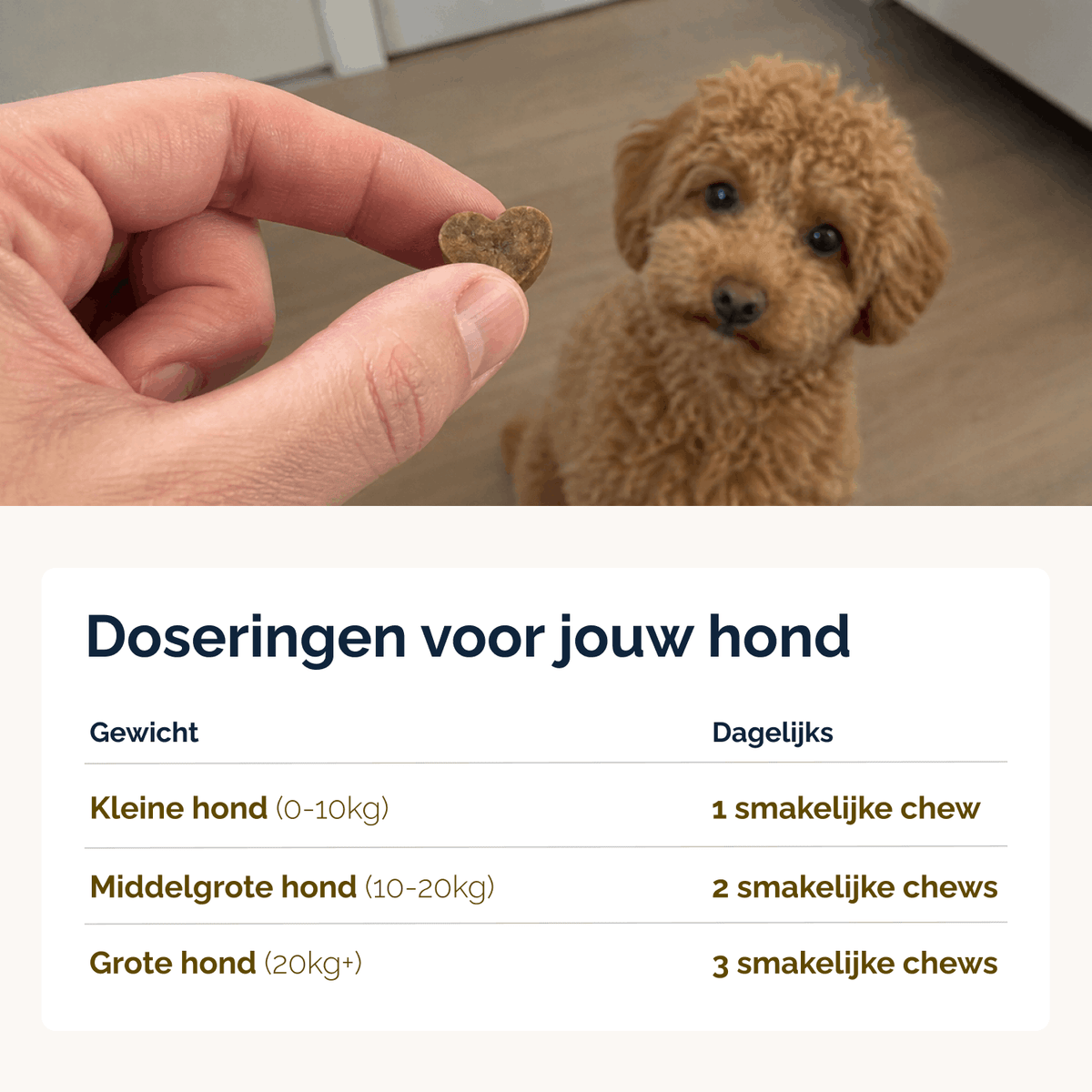 Juckreizlindernde probiotische Kausnacks für Hunde – 180 g
