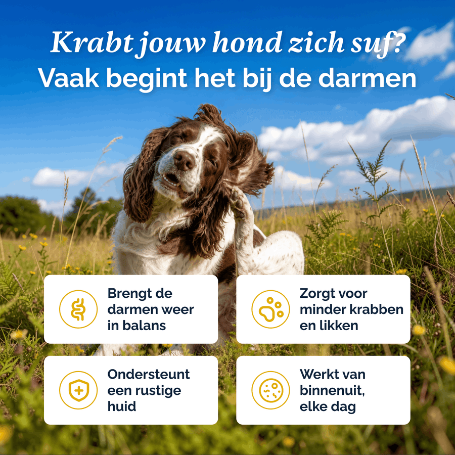 Juckreizlindernde probiotische Kausnacks für Hunde – 180 g