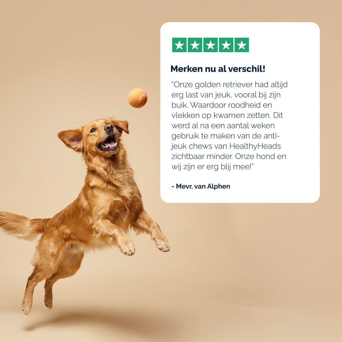 Juckreizlindernde probiotische Kausnacks für Hunde – 180 g
