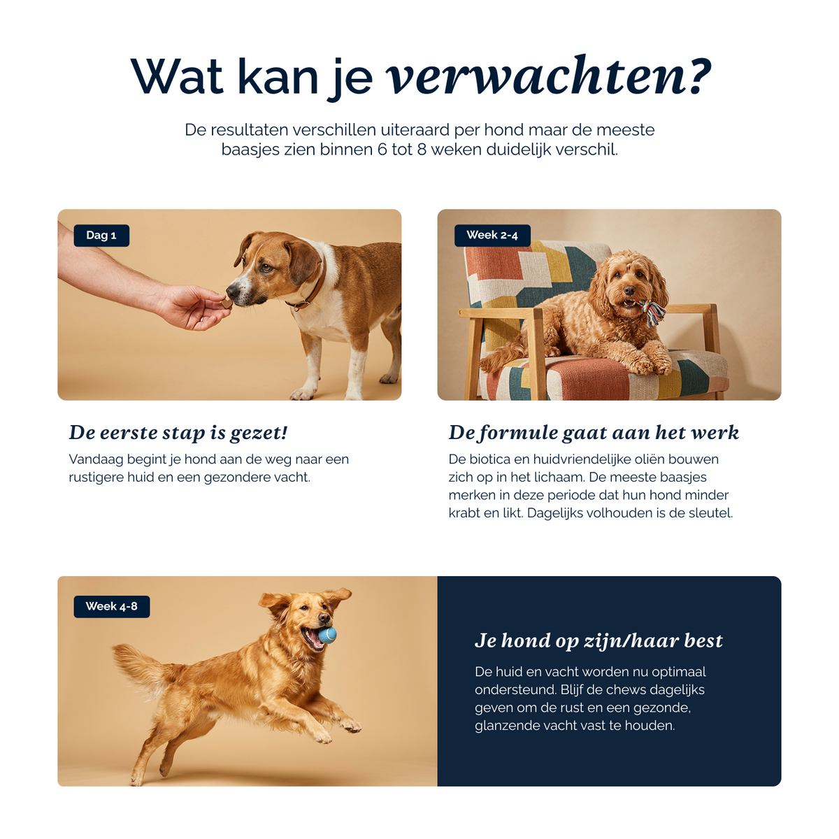 Juckreizlindernde probiotische Kausnacks für Hunde – 180 g