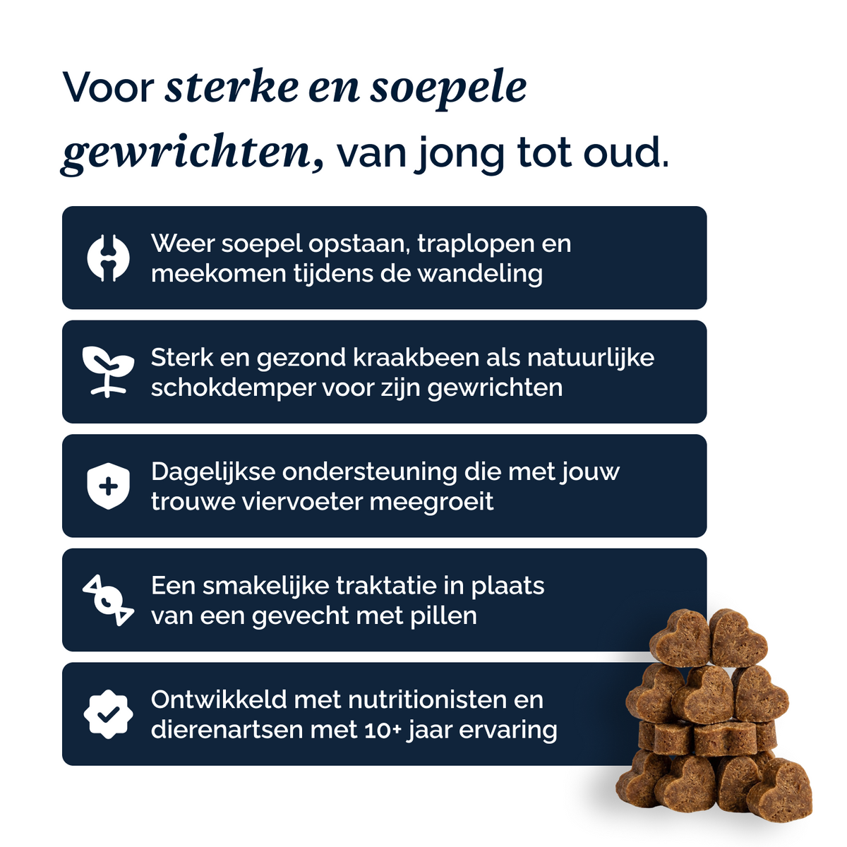 Complete Support + chews voor honden – 180g
