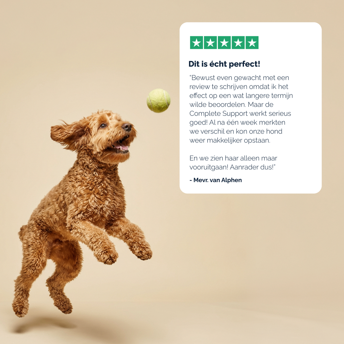 Complete Support + chews voor honden – 180g