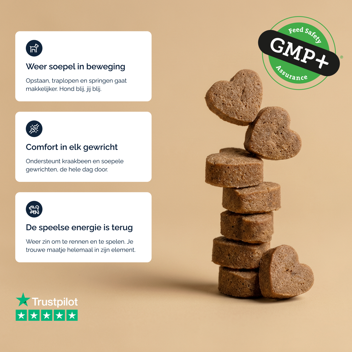 Complete Support + chews voor honden – 180g