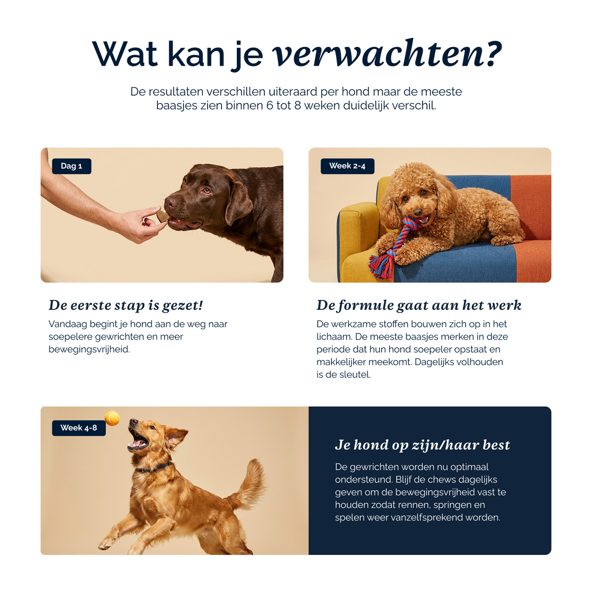 Complete Support + chews voor honden – 180g