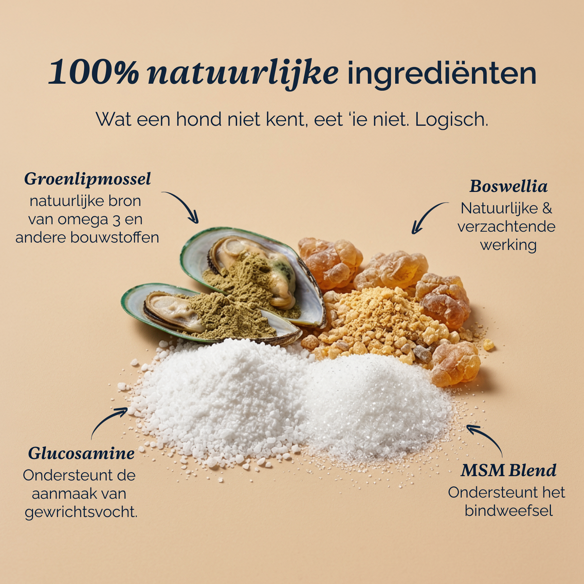 Complete Support + chews voor honden – 180g