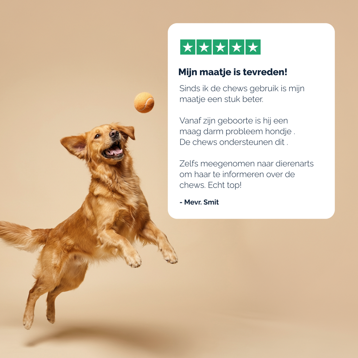 Darmflora Probiotische Kausnacks für Hunde – 180 g