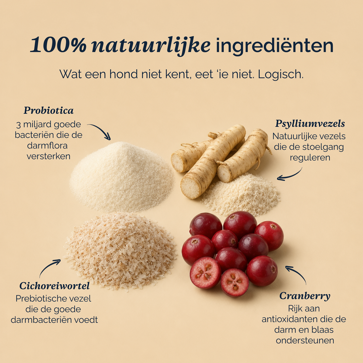 Darmflora Probiotische Kausnacks für Hunde – 180 g