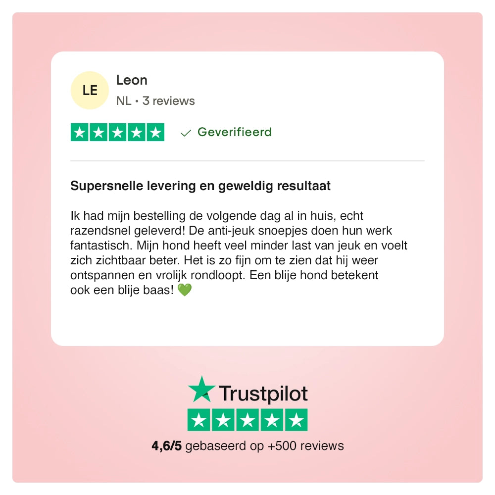 Juckreizlindernde probiotische Kausnacks für Hunde – 180 g