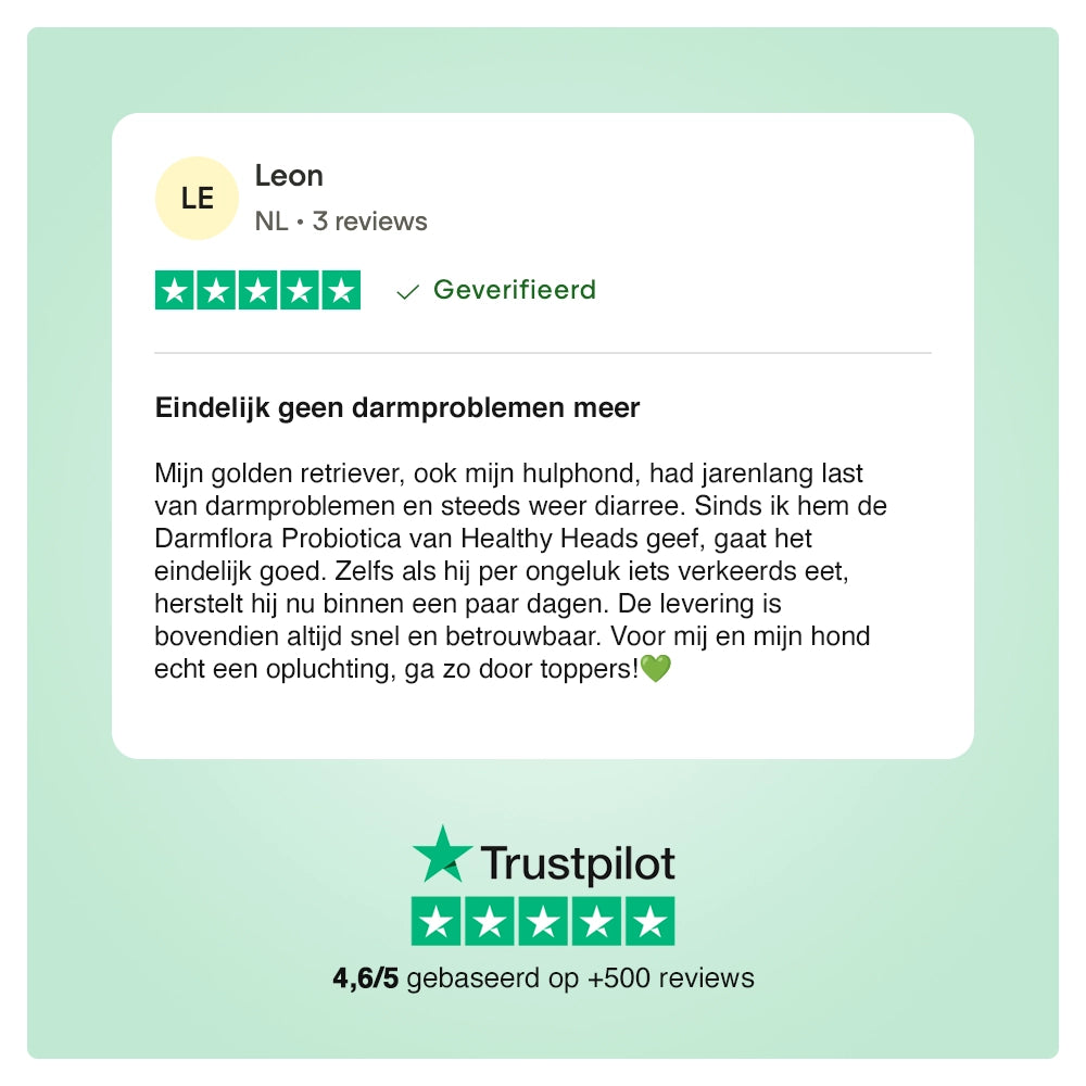 Darmflora Probiotische Kausnacks für Hunde – 180 g