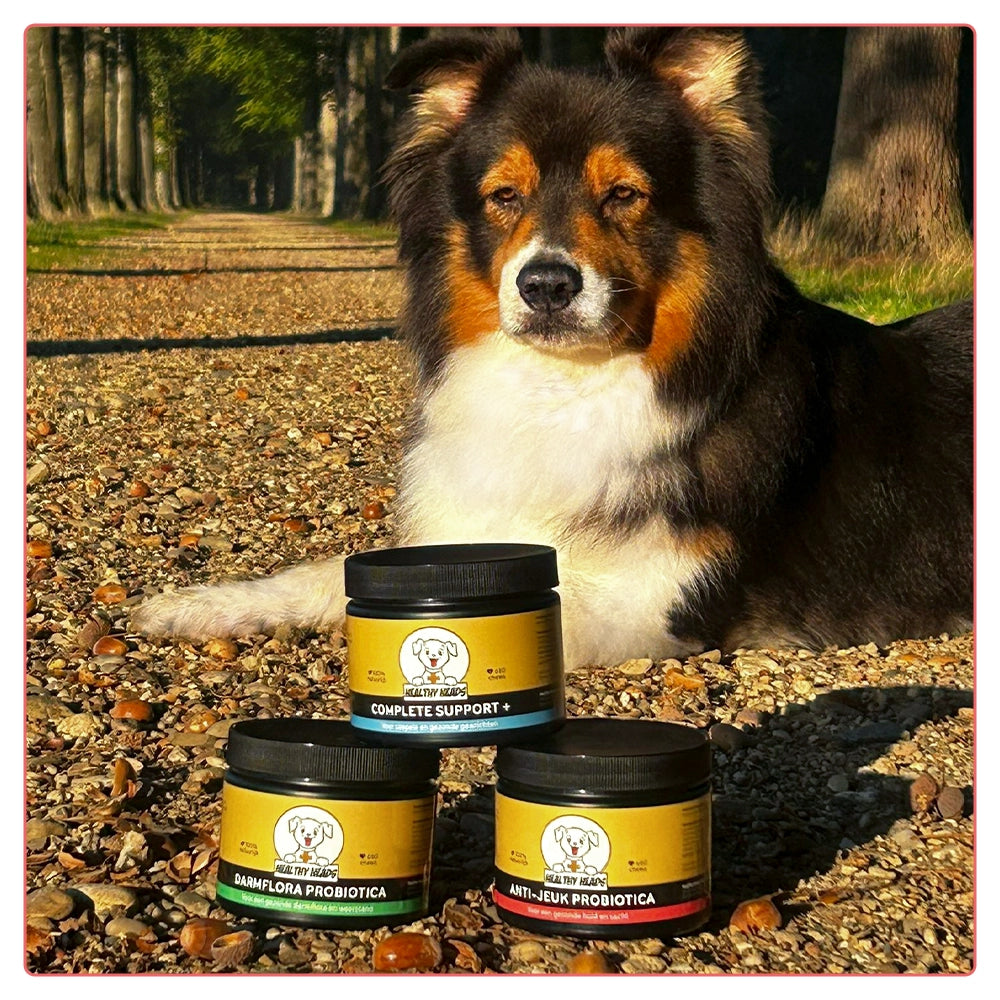 Juckreizlindernde probiotische Kausnacks für Hunde – 180 g