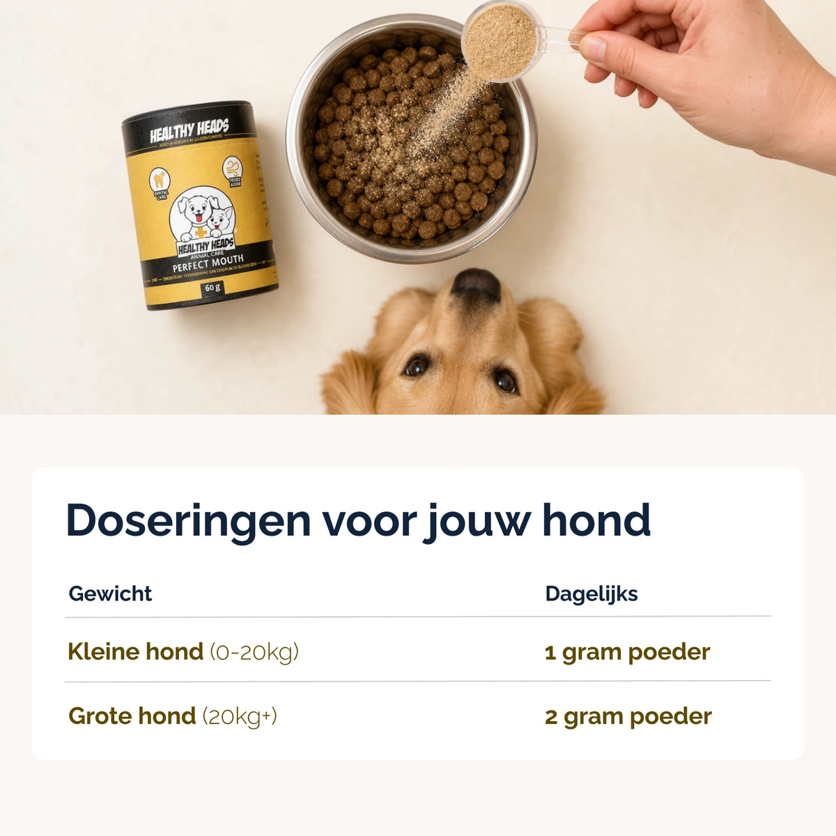 Perfect Mouth Pulver für Hunde und Katzen – 60 g