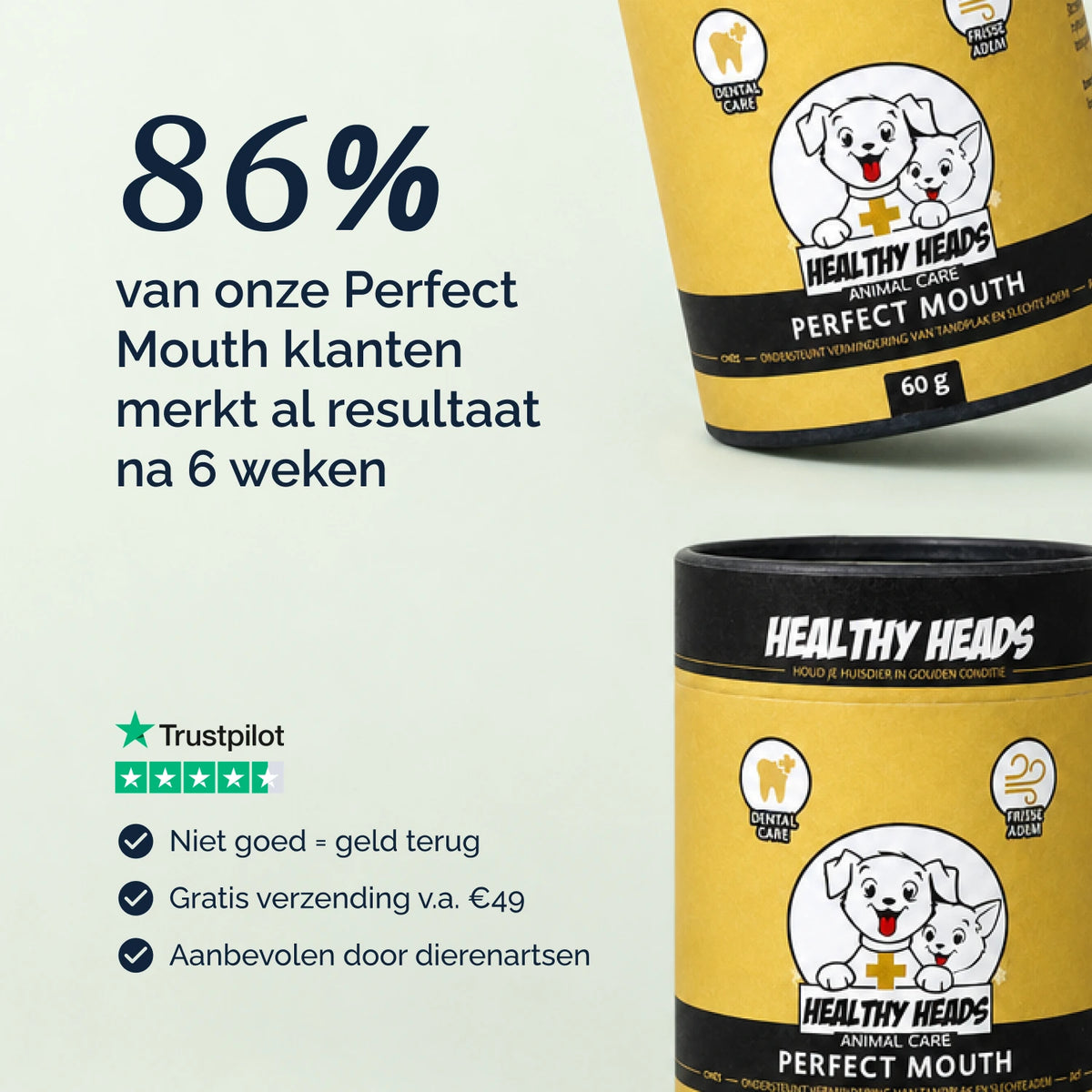 Perfect Mouth Pulver für Hunde und Katzen – 60 g