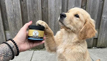 Complete Support + chews voor honden – 180g