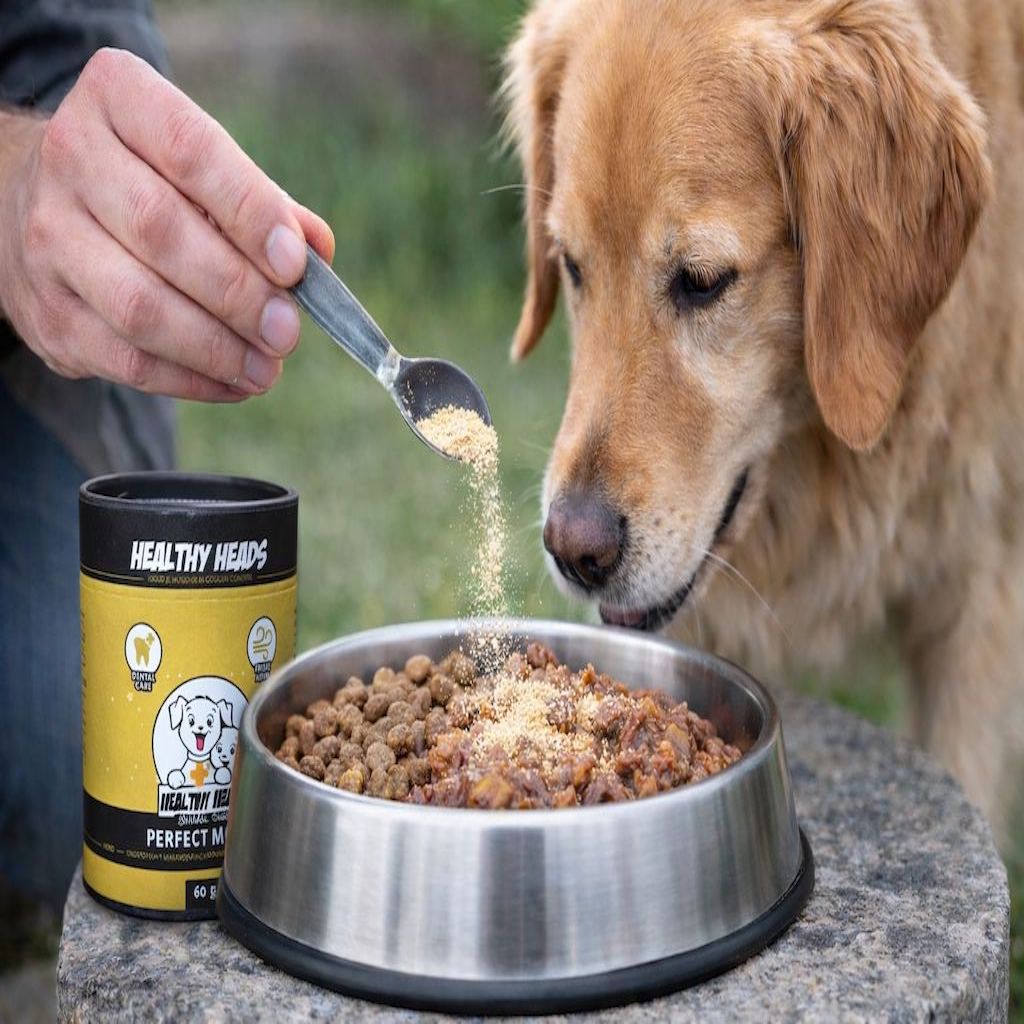 Perfect Mouth Pulver für Hunde und Katzen – 60 g